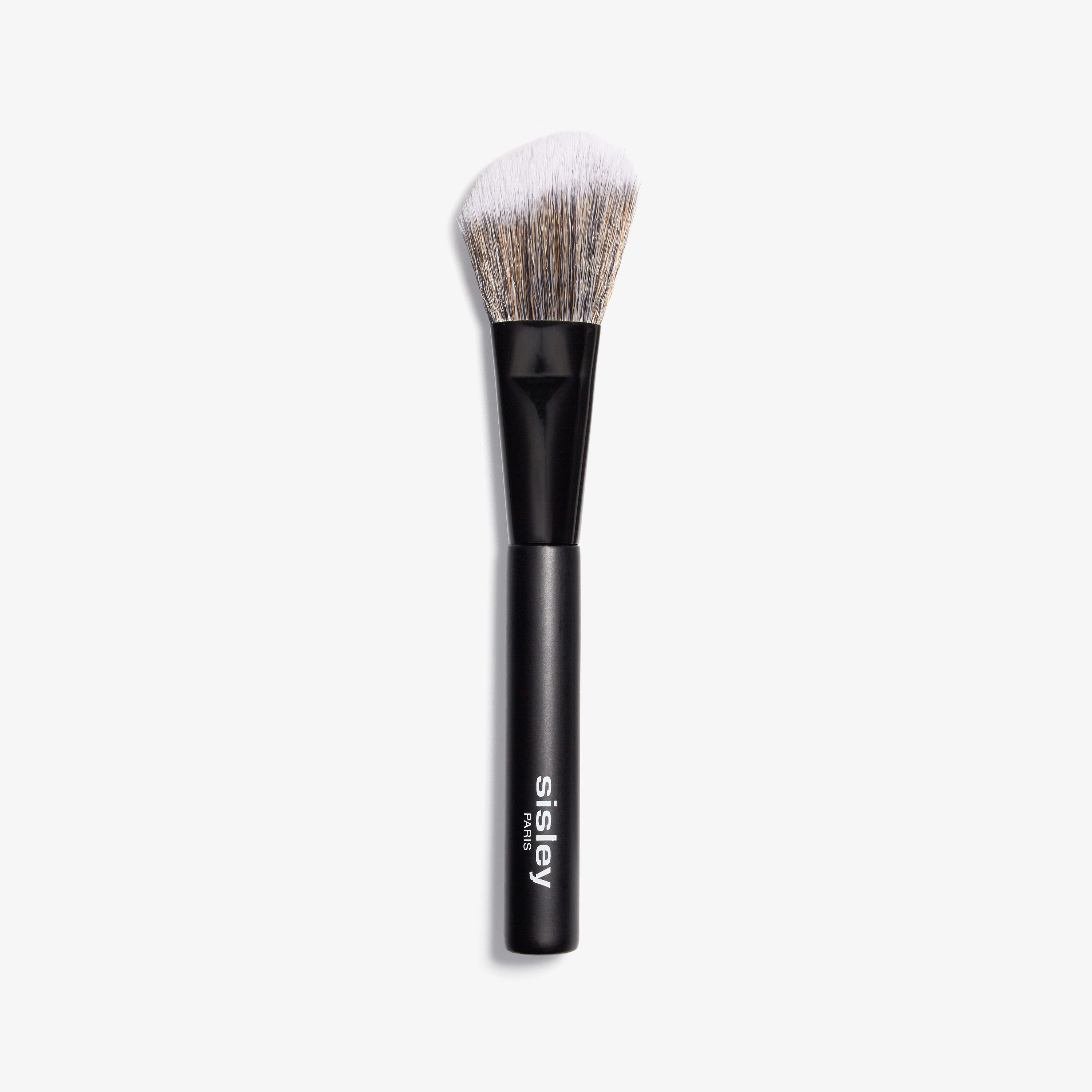 Pennello per Rossetto